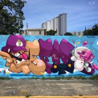 Defy_ADM_HMNI_San Juan-Puerto Rico_Graffiti_Spraydaily_waluigi