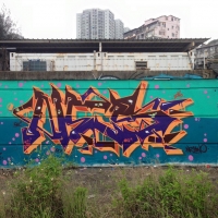 Nestwo_SFC_HMNI_Graffiti_Spraydaily_Kuala Lumpur_Malaysia_10
