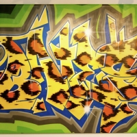 bates_lefix_graffiti_spraydaily_26