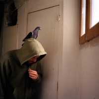 Horfe, Paris 2009