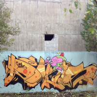 dekis_rea_twc_uppsala_graffiti_spraydaily_7