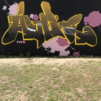 Akume_TNS_Sydney_Australia_Graffiti_Spraydaily_HMNI_12