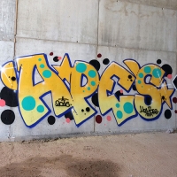 Apes_HDA_Barcelona_Spraydaily_Graffiti_04
