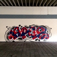 Apes_HDA_Barcelona_Spraydaily_Graffiti_05