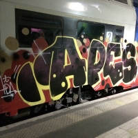 Apes_HDA_Barcelona_Spraydaily_Graffiti_11