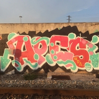 Apes_HDA_Barcelona_Spraydaily_Graffiti_12