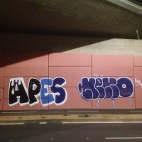 Apes_HDA_Barcelona_Spraydaily_Graffiti_18