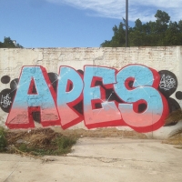 Apes_HDA_Barcelona_Spraydaily_Graffiti_19