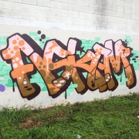 Askem_SDM_HMNI_Spraydaily_Graffiti_02.jpg