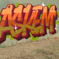Askem_SDM_HMNI_Spraydaily_Graffiti_06.jpg