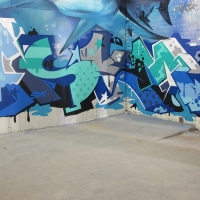 Askem_SDM_HMNI_Spraydaily_Graffiti_09.jpg