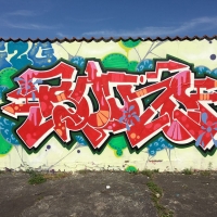 Boons_G2G_HMNI_Braunschweig_Germany_Graffiti_Spraydaily_12