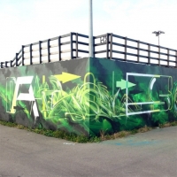 Dais_ASS_HMNI_Graffiti_Spraydaily_39