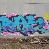 Day_INKS_HMNI_Spraydaily_Graffiti_20