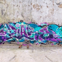 Diare_EHG_Graffiti_Spraydaily_HMNI_21.jpg