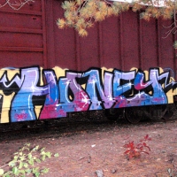 Echo_HMNI_Graffiti_Spraydaily_17