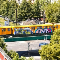Fritz_BNF_Australia_HMNI_Graffiti_Spraydaily_04