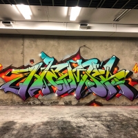 Hemsk_NHR_Gothenburg_Graffiti_Spraydaily_hmni_02