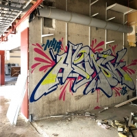 Hemsk_NHR_Gothenburg_Graffiti_Spraydaily_hmni_08