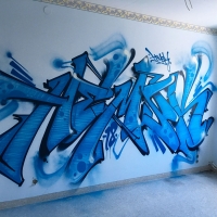 Hemsk_NHR_Gothenburg_Graffiti_Spraydaily_hmni_09