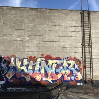 Hungr_LSD_BTR_Toronto_Canada_HMNI_Spraydaily_Graffiti_17