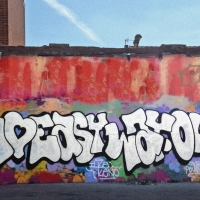 ilk_hmni_graffiti_spraydaily_11