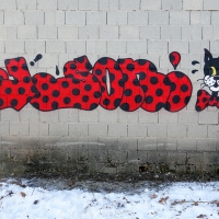 Jason72_CG_IG_HMNI_Spraydaily_Graffiti_Regensburg_Germany_15