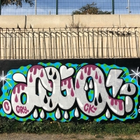 Laia_ck_hmni_Barcelona_graffiti_spraydaily_13