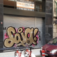 Laia_ck_hmni_Barcelona_graffiti_spraydaily_15
