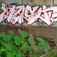 Mast-TGE-IMOK-GFR_HMNI_Spraydaily_Graffiti_06