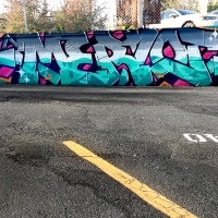 Merlot_Spraydaily_Graffiti_Seattle_05