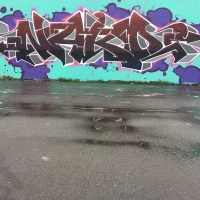 Nako_HMNI_Graffiti_Surrey-British-Columbia-Canada_Spraydaily_11