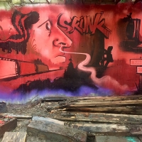 Nako_HMNI_Graffiti_Surrey-British-Columbia-Canada_Spraydaily_12