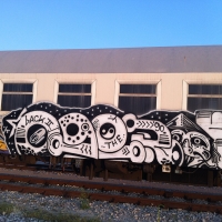 Oger_Spraydaily_HMNI_Graffiti_06