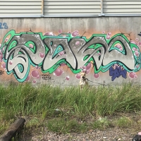 Pako_SM_Pakooner_HMNI_Kiev_Ukraine_Graffiti_Spraydaily_13