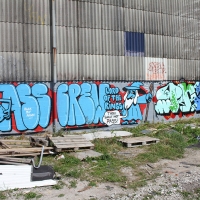 Pheo_BEA_AOD_HMNI_Graffiti_Spraydaily_09.jpg