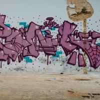 Ponk_HMNI_Graffiti_Spraydaily_15.jpg