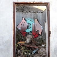 Pout Spencer_COPS_DH_Germany_Graffiti_Spraydaily_15