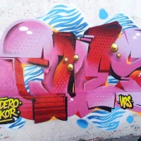 Ques_HMNI_Spraydaily_Graffiti_consti