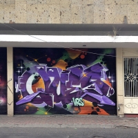 Ques_HMNI_Spraydaily_Graffiti_lopez