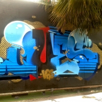 Ques_HMNI_Spraydaily_Graffiti_revolution