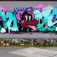 Ques_HMNI_Spraydaily_Graffiti_sideo