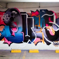 Ques_HMNI_Spraydaily_Graffiti_vrs