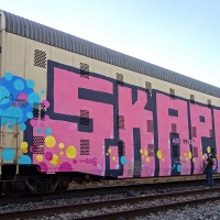 Skape289_Graffiti_HMNI_Spraydaily_06_Wholecar_Mexico
