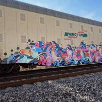 Skape289_Graffiti_HMNI_Spraydaily_07_North America