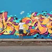 Skape289_Graffiti_HMNI_Spraydaily_11_Lima