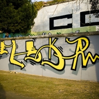 Seleka_HMNI_Graffiti_Spraydaily_03