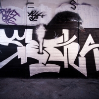 Seleka_HMNI_Graffiti_Spraydaily_11