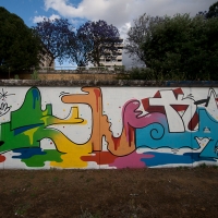 Seleka_HMNI_Graffiti_Spraydaily_16