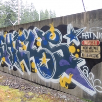 Shels_HMNI_Graffiti_Spraydaily_Seattle_USA_02